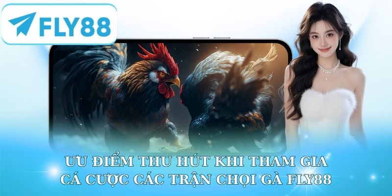 Ưu điểm thu hút khi tham gia cá cược các trận chọi gà Fly88
